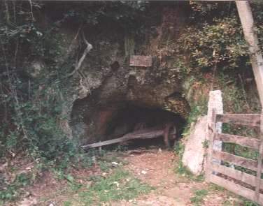 Cabana de Pic&atilde;o