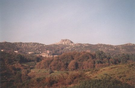 Paisagem com aglomerado de Carvalhos