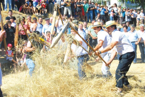 Malhada de Centeio Malhada de Centeio